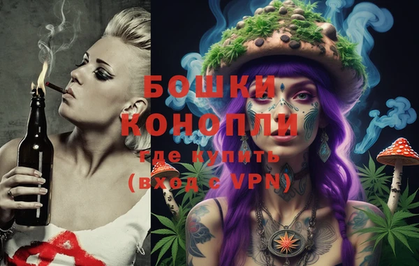 mdpv Белокуриха