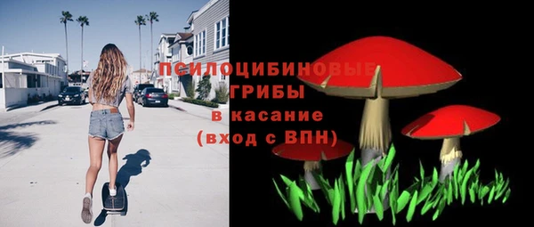 mdpv Белокуриха