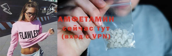 прущие грибы Сясьстрой