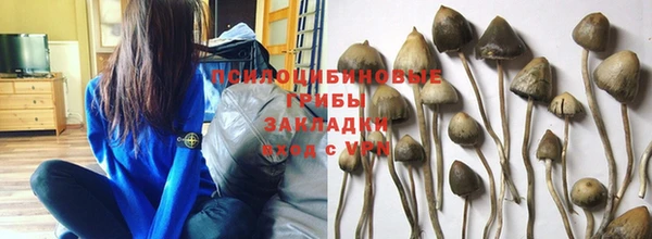 apvp Белоозёрский