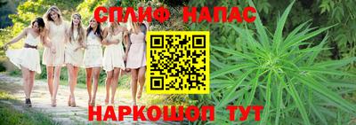 Альфа ПВП Бийск